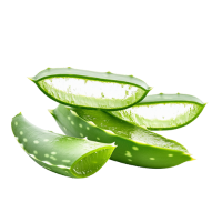 hero ingrediants of hair kair keratin oil (Aloe Vera Gel)