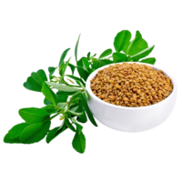 hero ingrediants of hair kair keratin oil (Fenugreek Seeds)