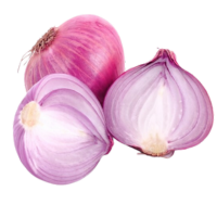 hero ingrediants of hair kair keratin oil (Onion Extract)