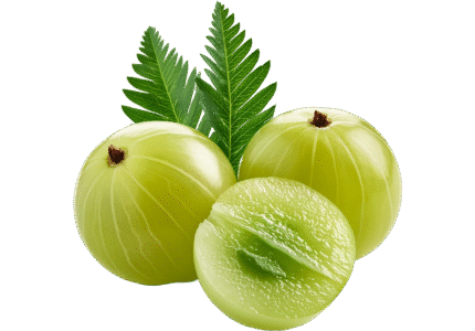 Amla