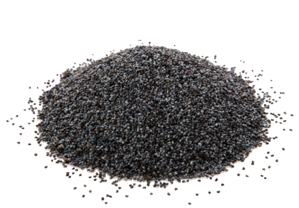 black seed